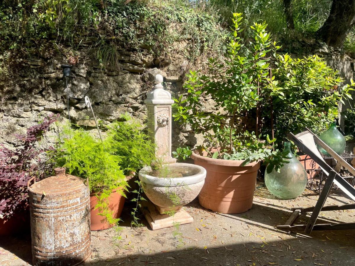 Ca' Dei Merli - Charming Italian Village House Casanova Lerrone Εξωτερικό φωτογραφία